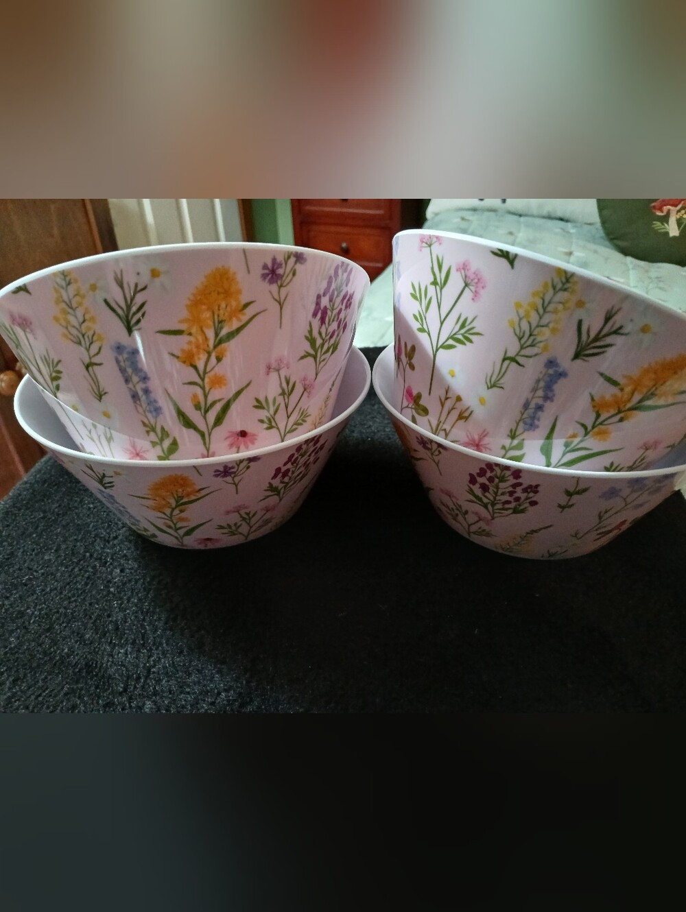 2026 DG Dolly Parton Set of Four 6" Melamine Bowls Floral NEW